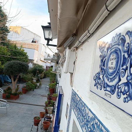 Tipico Y Pintoresco Patio De Vecinos, Con Encanto Севілья Екстер'єр фото