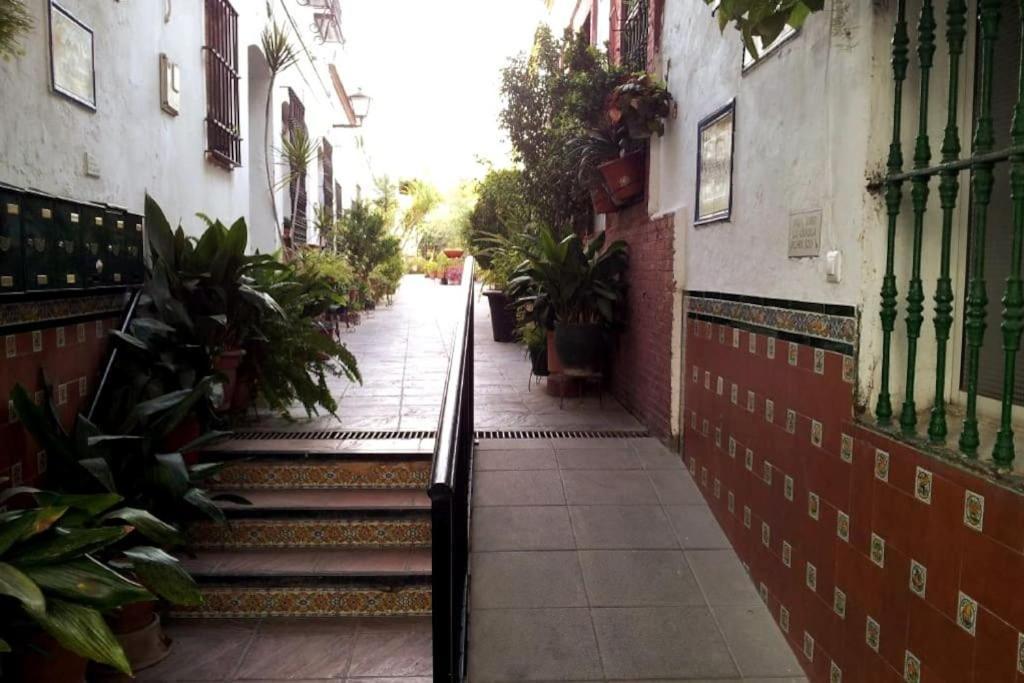 Tipico Y Pintoresco Patio De Vecinos, Con Encanto Севілья Екстер'єр фото