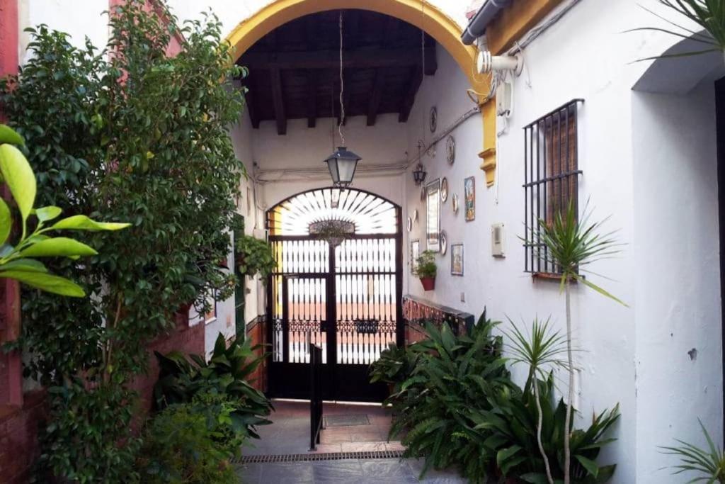 Tipico Y Pintoresco Patio De Vecinos, Con Encanto Севілья Екстер'єр фото