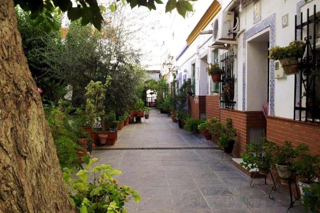 Tipico Y Pintoresco Patio De Vecinos, Con Encanto Севілья Екстер'єр фото