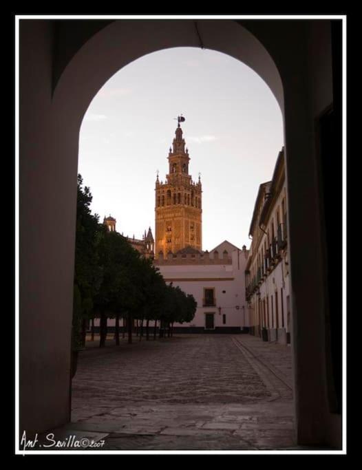 Tipico Y Pintoresco Patio De Vecinos, Con Encanto Севілья Екстер'єр фото